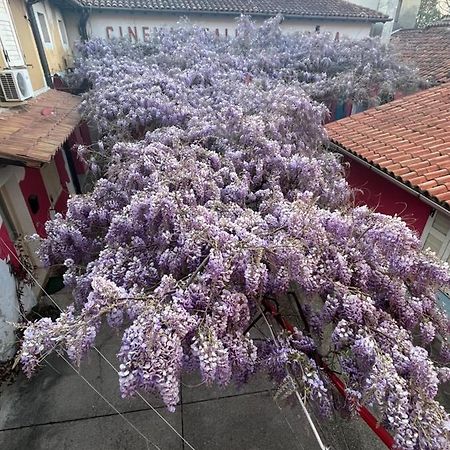 Apartament Cormòns Zewnętrze zdjęcie